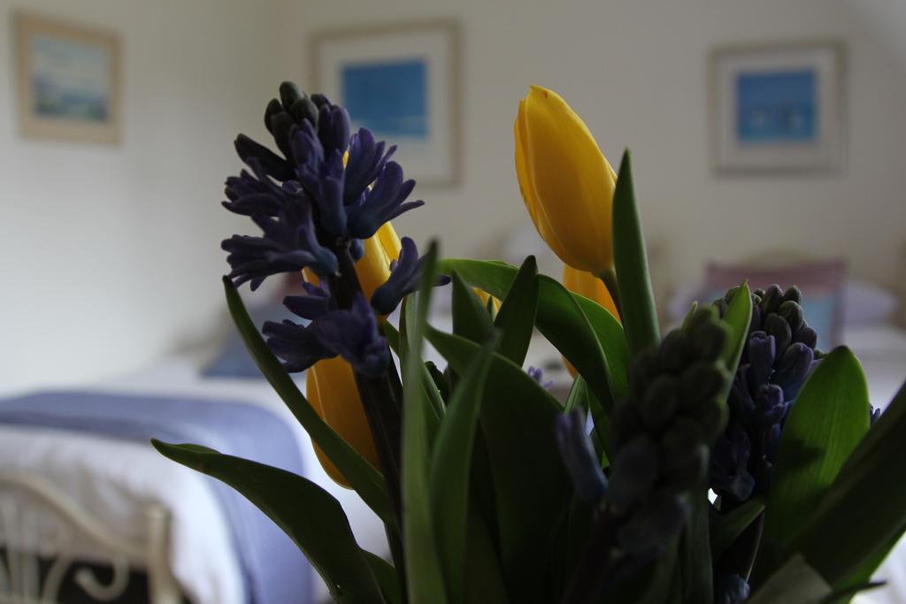 Sunny Cottage Maidenhead Chambre photo